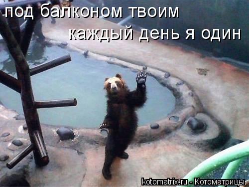 под балконом твоим каждый день я один... Котоматрица: под балконом твоим каждый день я один