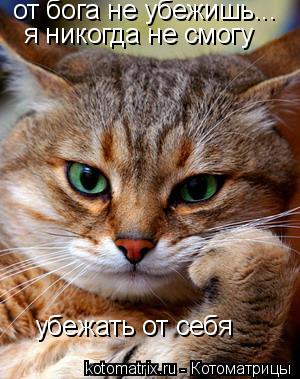 от бога не убежишь... я никогда не смогу убежать от себя... Котоматрица: от бога не убежишь... я никогда не смогу убежать от себя