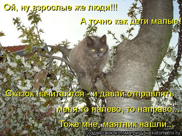 Котоматрица: Ой, ну взрослые же люди!!!  А точно как дети малые!  Сказок начитаются - и давай отправлять  меня то налево, то направо... Тоже мне, маятник нашли.