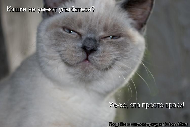 Кошки не умеют улыбаться? Хе-хе, это просто враки!... Котоматрица: Кошки не умеют улыбаться? Хе-хе, это просто враки!