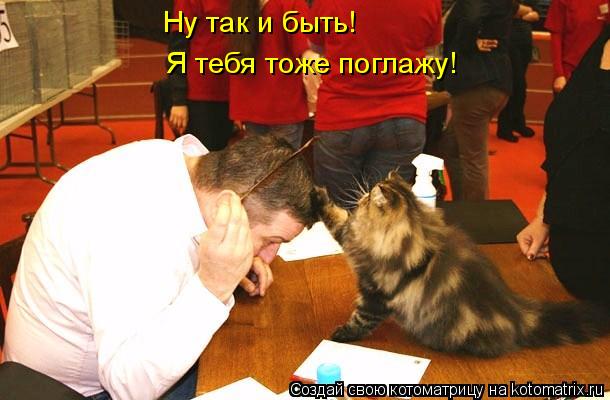 Ну так и быть! Я тебя тоже поглажу!... Котоматрица: Ну так и быть! Я тебя тоже поглажу!