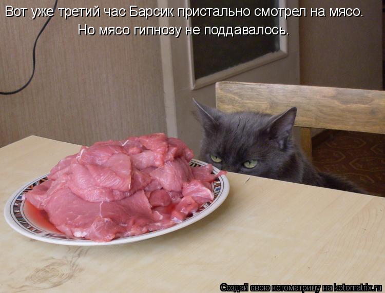 Вот уже третий час Барсик пристально смотрел на мясо. Но мясо гипнозу не поддавалось.... Котоматрица: Вот уже третий час Барсик пристально смотрел на мясо. Но мясо гипнозу не поддавалось.