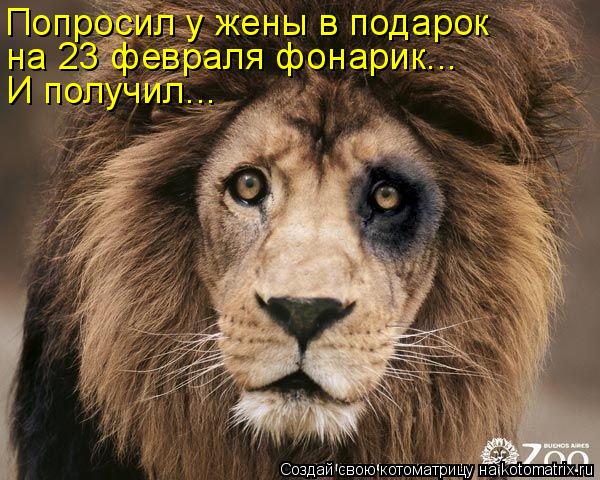 Котоматрица: Попросил у жены в подарок  на 23 февраля фонарик... И получил...