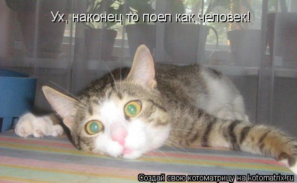 Ух, наконец то поел как человек!... Котоматрица: Ух, наконец то поел как человек!