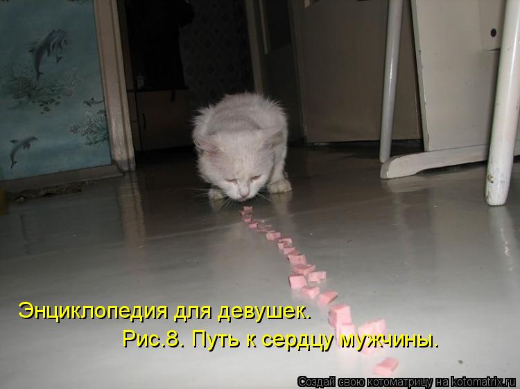 Энциклопедия для девушек. Рис.8. Путь к сердцу мужчины.... Котоматрица: Энциклопедия для девушек. Рис.8. Путь к сердцу мужчины.