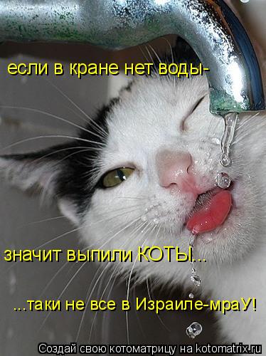 если в кране нет воды- значит выпили КОТЫ... ...таки не все в Израиле-мраУ!... Котоматрица: если в кране нет воды- значит выпили КОТЫ... ...таки не все в Израиле-мраУ!