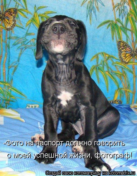 -Фото на паспорт должно говорить о моей успешной жизни, фотограф!... Котоматрица: -Фото на паспорт должно говорить о моей успешной жизни, фотограф!
