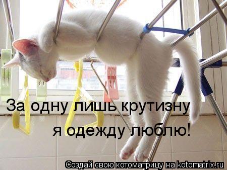 За одну лишь крутизну я одежду люблю!... Котоматрица: За одну лишь крутизну я одежду люблю!