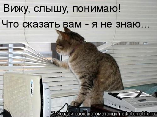Вижу, слышу, понимаю! Что сказать вам - я не знаю...... Котоматрица: Вижу, слышу, понимаю! Что сказать вам - я не знаю...
