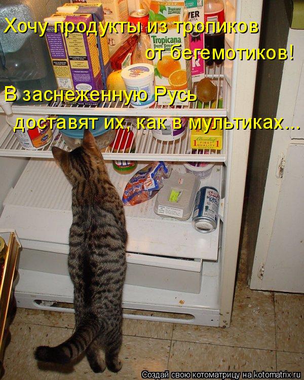 Хочу продукты из тропиков от бегемотиков! В заснеженную Русь доставят их, как в мультиках...... Котоматрица: Хочу продукты из тропиков от бегемотиков! В заснеженную Русь доставят их, как в мультиках...
