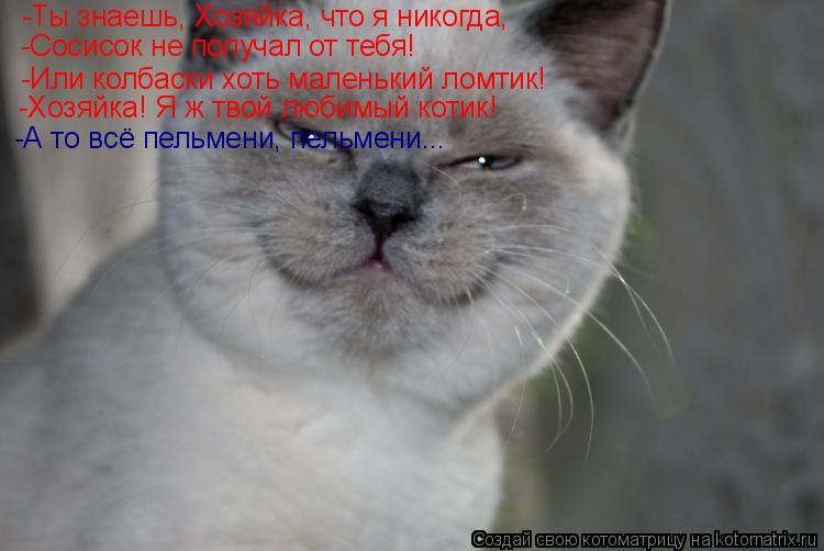 -Ты знаешь, Хозяйка, что я никогда, -Сосисок не получал от тебя! -Или колбаски хоть маленький ломтик!... Котоматрица: -Ты знаешь, Хозяйка, что я никогда, -Сосисок не получал от тебя! -Или колбаски хоть маленький ломтик! -Хозяйка! Я ж твой любимый котик! -А то всё