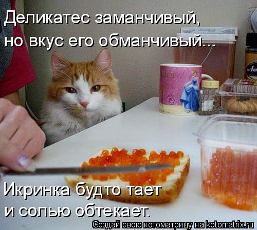 Деликатес заманчивый, но вкус его обманчивый... Икринка будто тает и солью обтекает.... Котоматрица: Деликатес заманчивый, но вкус его обманчивый... Икринка будто тает и солью обтекает.