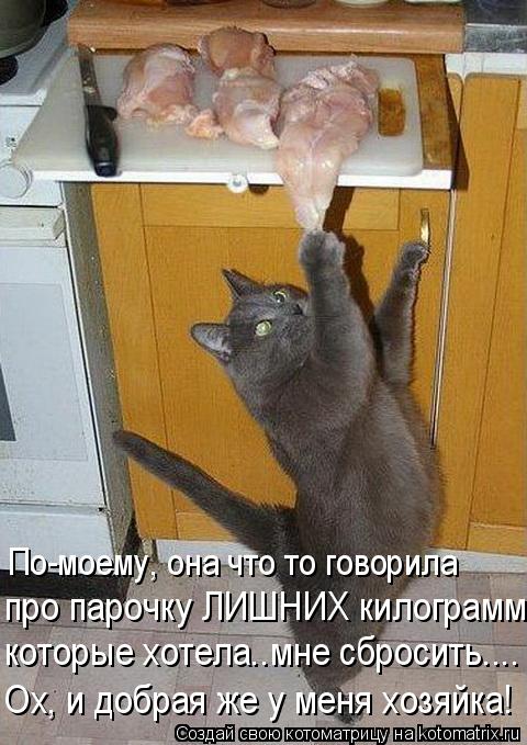 Котоматрица: По-моему, она что то говорила  про парочку ЛИШНИХ килограммов которые хотела..мне сбросить.... Ох, и добрая же у меня хозяйка!