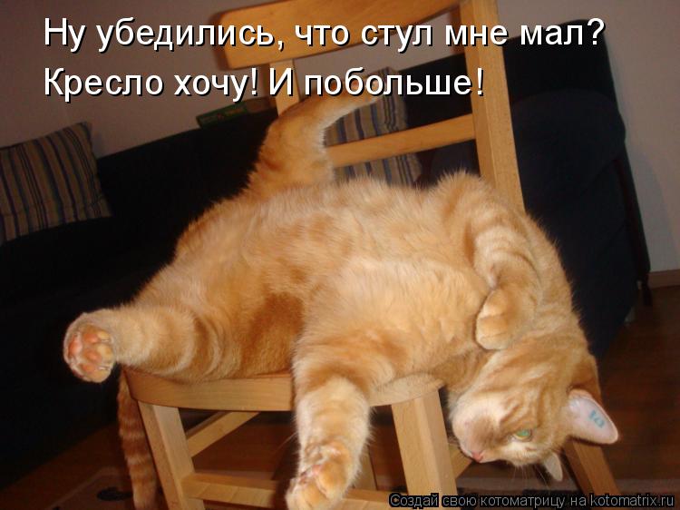 Ну убедились, что стул мне мал? Кресло хочу! И побольше!... Котоматрица: Ну убедились, что стул мне мал? Кресло хочу! И побольше!