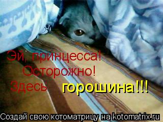 Эй, принцесса! Осторожно! Здесь горошина!!!... Котоматрица: Эй, принцесса! Осторожно! Здесь горошина!!!