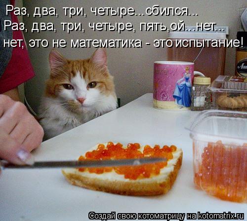 Раз, два, три, четыре...сбился... Раз, два, три, четыре, пять,ой...нет... нет, это не математика - эт... Котоматрица: Раз, два, три, четыре...сбился... Раз, два, три, четыре, пять,ой...нет... нет, это не математика - это испытание!