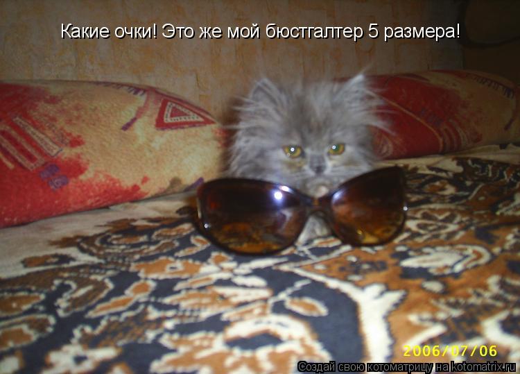 Какие очки! Это же мой бюстгалтер 5 размера!... Котоматрица: Какие очки! Это же мой бюстгалтер 5 размера!