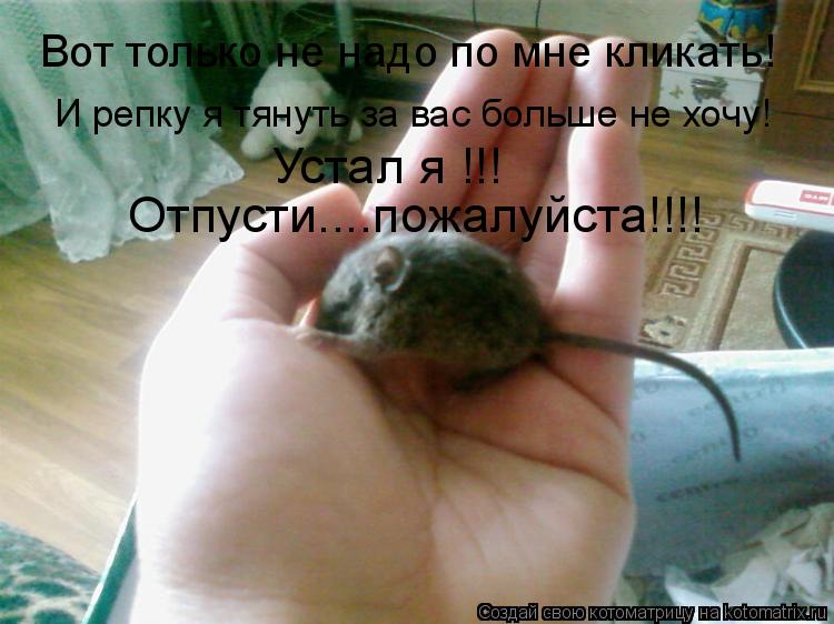 Вот только не надо по мне кликать! И репку я тянуть за вас больше не хочу! Устал я !!! Отпусти....пож... Котоматрица: Вот только не надо по мне кликать! И репку я тянуть за вас больше не хочу! Устал я !!! Отпусти....пожалуйста!!!!