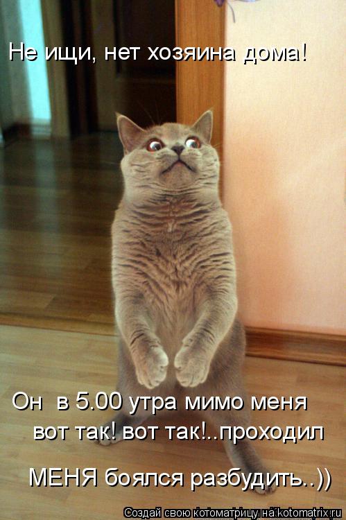 Котоматрица: Не ищи, нет хозяина дома! Он  в 5.00 утра мимо меня  вот так! вот так!..проходил МЕНЯ боялся разбудить..))