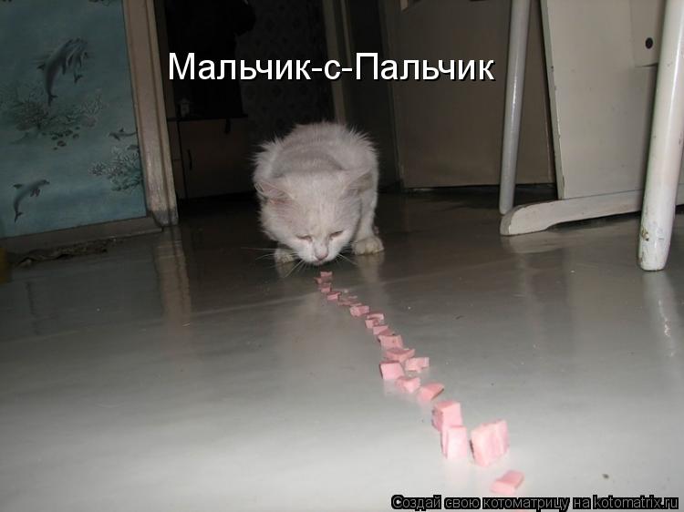 Мальчик-с-Пальчик... Котоматрица: Мальчик-с-Пальчик