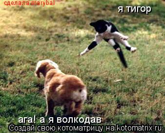 я тигор ага! а я волкодав сделала marybal... Котоматрица: я тигор ага! а я волкодав сделала marybal