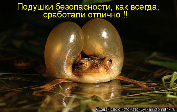 Котоматрица: Подушки безопасности, как всегда, сработали отлично!!!