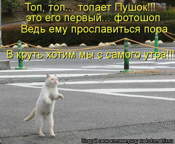 Топ, топ... топает Пушок!!! это его первый... фотошоп Ведь ему прославиться пора В круть хотим мы с с... Котоматрица: Топ, топ... топает Пушок!!! это его первый... фотошоп Ведь ему прославиться пора В круть хотим мы с самого утра!!!