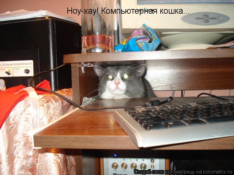 Котоматрица: Ноу-хау! Компьютерная кошка...