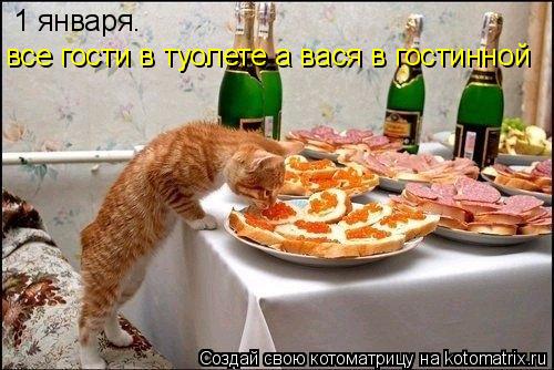 Котоматрица: 1 января.  все гости в туолете а вася в гостинной