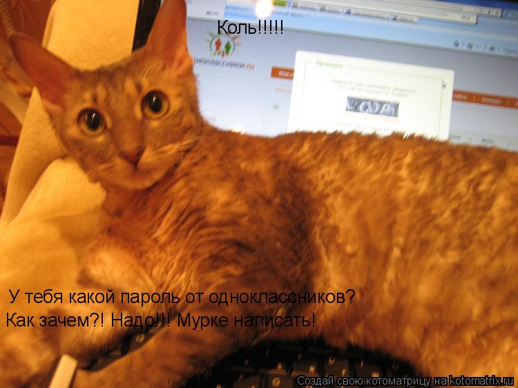 Коль!!!!! У тебя какой пароль от одноклассников? Как зачем?! Надо!!! Мурке написать!... Котоматрица: Коль!!!!! У тебя какой пароль от одноклассников? Как зачем?! Надо!!! Мурке написать!