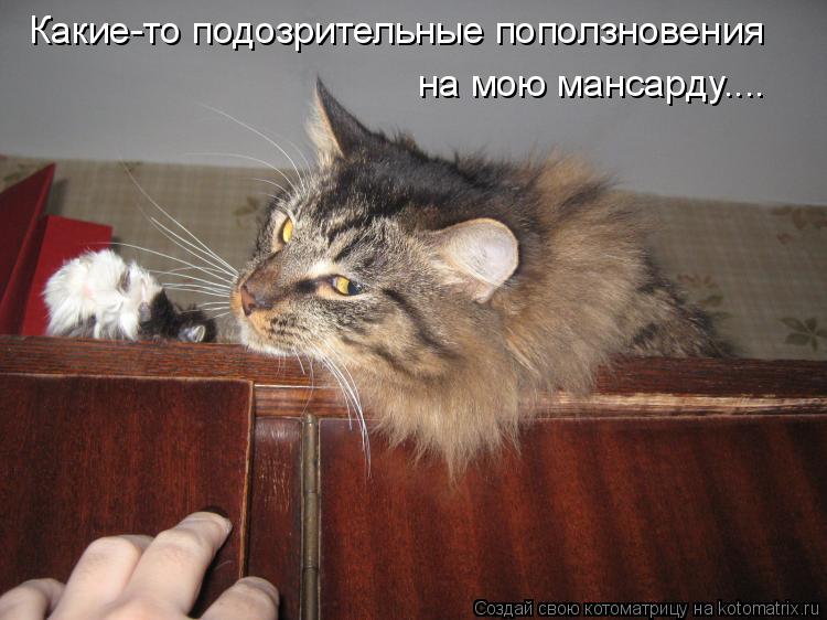 Какие-то подозрительные поползновения на мою мансарду....... Котоматрица: Какие-то подозрительные поползновения на мою мансарду....