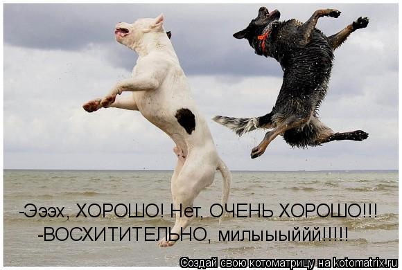 -Эээх, ХОРОШО! Нет, ОЧЕНЬ ХОРОШО!!! -ВОСХИТИТЕЛЬНО, милыыыййй!!!!!... Котоматрица: -Эээх, ХОРОШО! Нет, ОЧЕНЬ ХОРОШО!!! -ВОСХИТИТЕЛЬНО, милыыыййй!!!!!