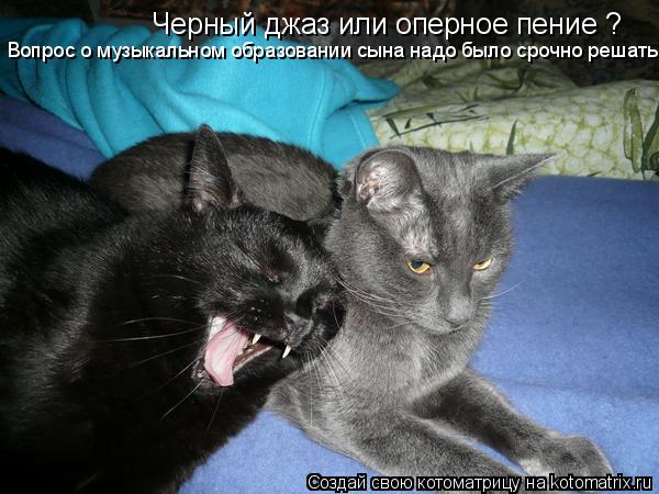 Черный джаз или оперное пение ? Вопрос о музыкальном образовании сына надо было срочно решать.... Котоматрица: Черный джаз или оперное пение ? Вопрос о музыкальном образовании сына надо было срочно решать.