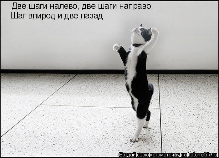 Две шаги налево, две шаги направо, Шаг впирод и две назад... Котоматрица: Две шаги налево, две шаги направо, Шаг впирод и две назад