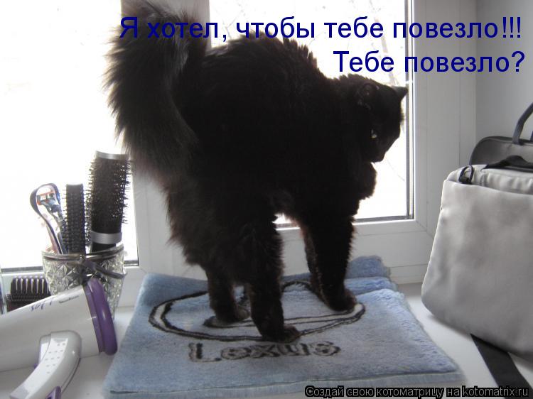 Я хотел, чтобы тебе повезло!!! Тебе повезло?... Котоматрица: Я хотел, чтобы тебе повезло!!! Тебе повезло?