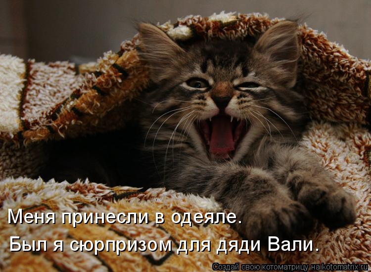 Меня принесли в одеяле. Был я сюрпризом для дяди Вали.... Котоматрица: Меня принесли в одеяле. Был я сюрпризом для дяди Вали.
