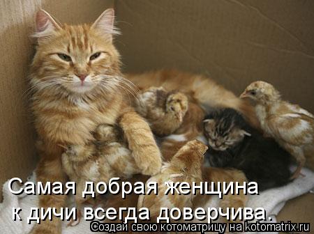 Самая добрая женщина к дичи всегда доверчива.... Котоматрица: Самая добрая женщина к дичи всегда доверчива.