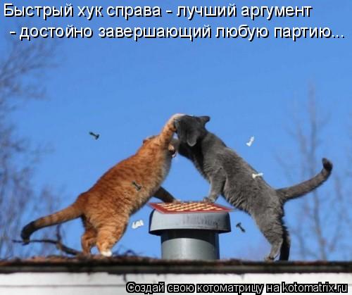 Быстрый хук справа - лучший аргумент - достойно завершающий любую партию...... Котоматрица: Быстрый хук справа - лучший аргумент - достойно завершающий любую партию...