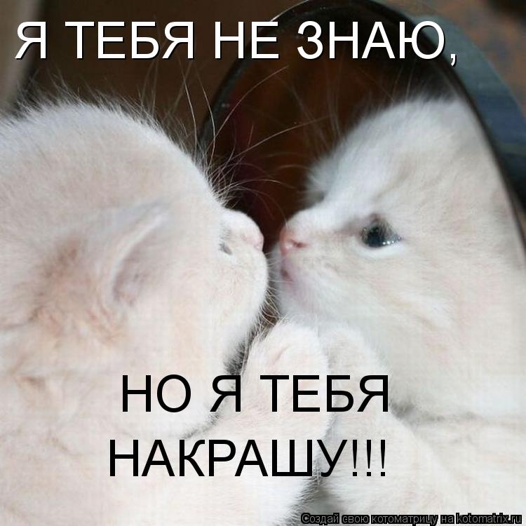 Котоматрица: Я ТЕБЯ НЕ ЗНАЮ, НО Я ТЕБЯ  НАКРАШУ!!!