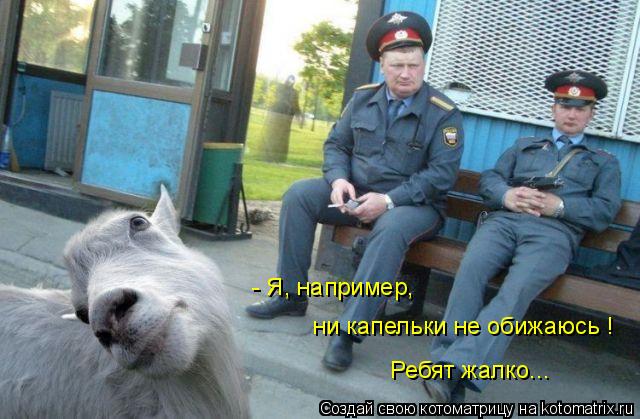 Ребят жалко... - Я, например, ни капельки не обижаюсь !... Котоматрица: Ребят жалко... - Я, например, ни капельки не обижаюсь !