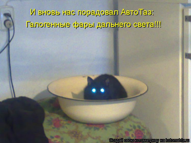 Галогенные фары дальнего света!!! И вновь нас порадовал АвтоТаз:... Котоматрица: Галогенные фары дальнего света!!! И вновь нас порадовал АвтоТаз: