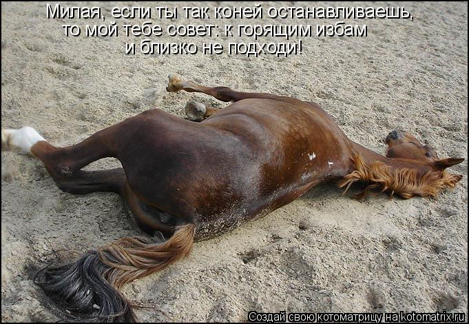 Милая, если ты так коней останавливаешь, то мой тебе совет: к горящим избам и близко не подходи!... Котоматрица: Милая, если ты так коней останавливаешь, то мой тебе совет: к горящим избам и близко не подходи!