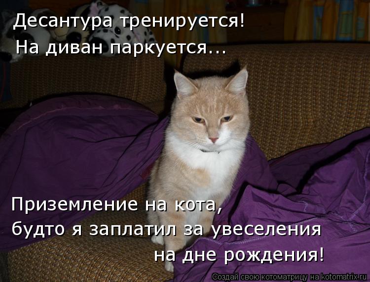 Десантура тренируется! На диван паркуется... Приземление на кота, будто я заплатил за увеселения на д... Котоматрица: Десантура тренируется! На диван паркуется... Приземление на кота, будто я заплатил за увеселения на дне рождения!