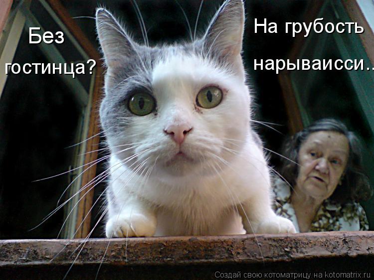 Без гостинца? На грубость нарываисси...... Котоматрица: Без гостинца? На грубость нарываисси...