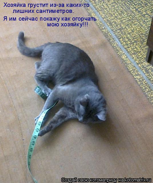 Котоматрица: Хозяйка грустит из-за каких-то лишних сантиметров. Я им сейчас покажу как огорчать  мою хозяйку!!!