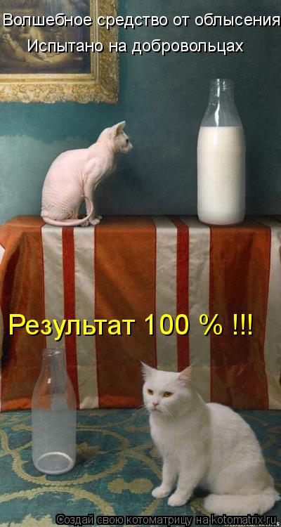 Волшебное средство от облысения! Испытано на добровольцах Результат 100 % !!!... Котоматрица: Волшебное средство от облысения! Испытано на добровольцах Результат 100 % !!!