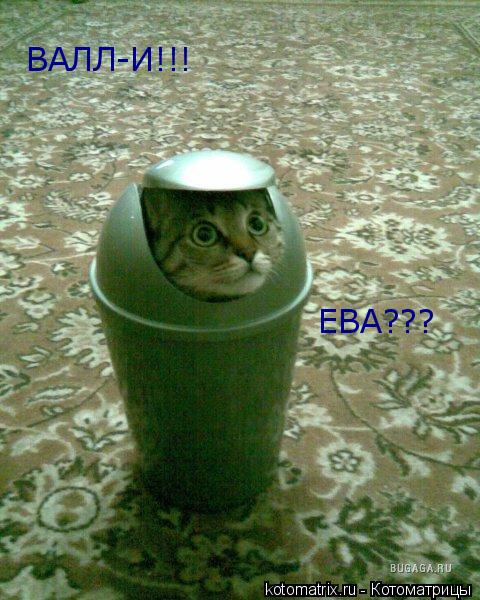 ЕВА??? ВАЛЛ-И!!!... Котоматрица: ЕВА??? ВАЛЛ-И!!!