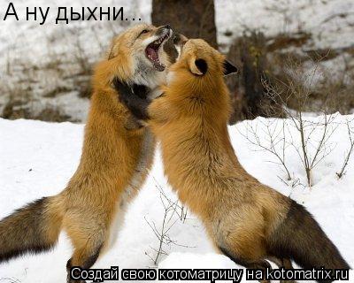 Котоматрица: А ну дыхни...