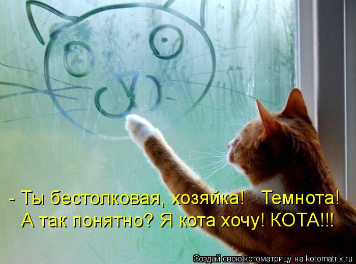 Котоматрица: - Ты бестолковая, хозяйка!   Темнота! А так понятно? Я кота хочу! КОТА!!!