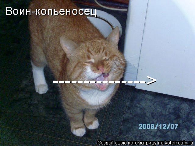 Котоматрица: ---------------> Воин-копьеносец